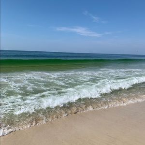 Meet your Posher, Shelby